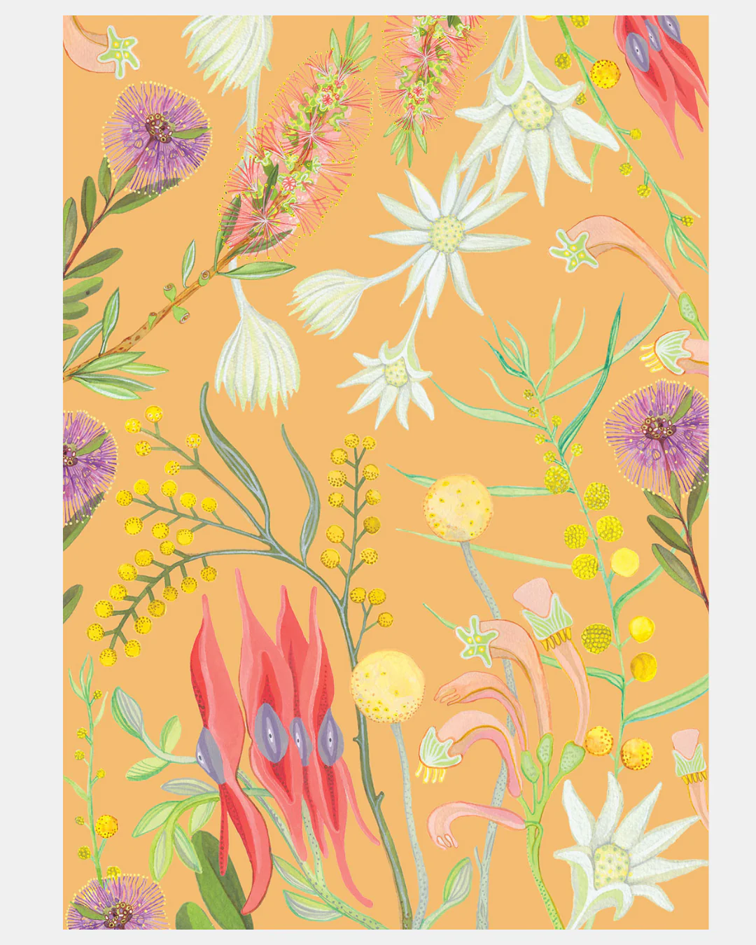 Angus & Celeste Card - Image 15