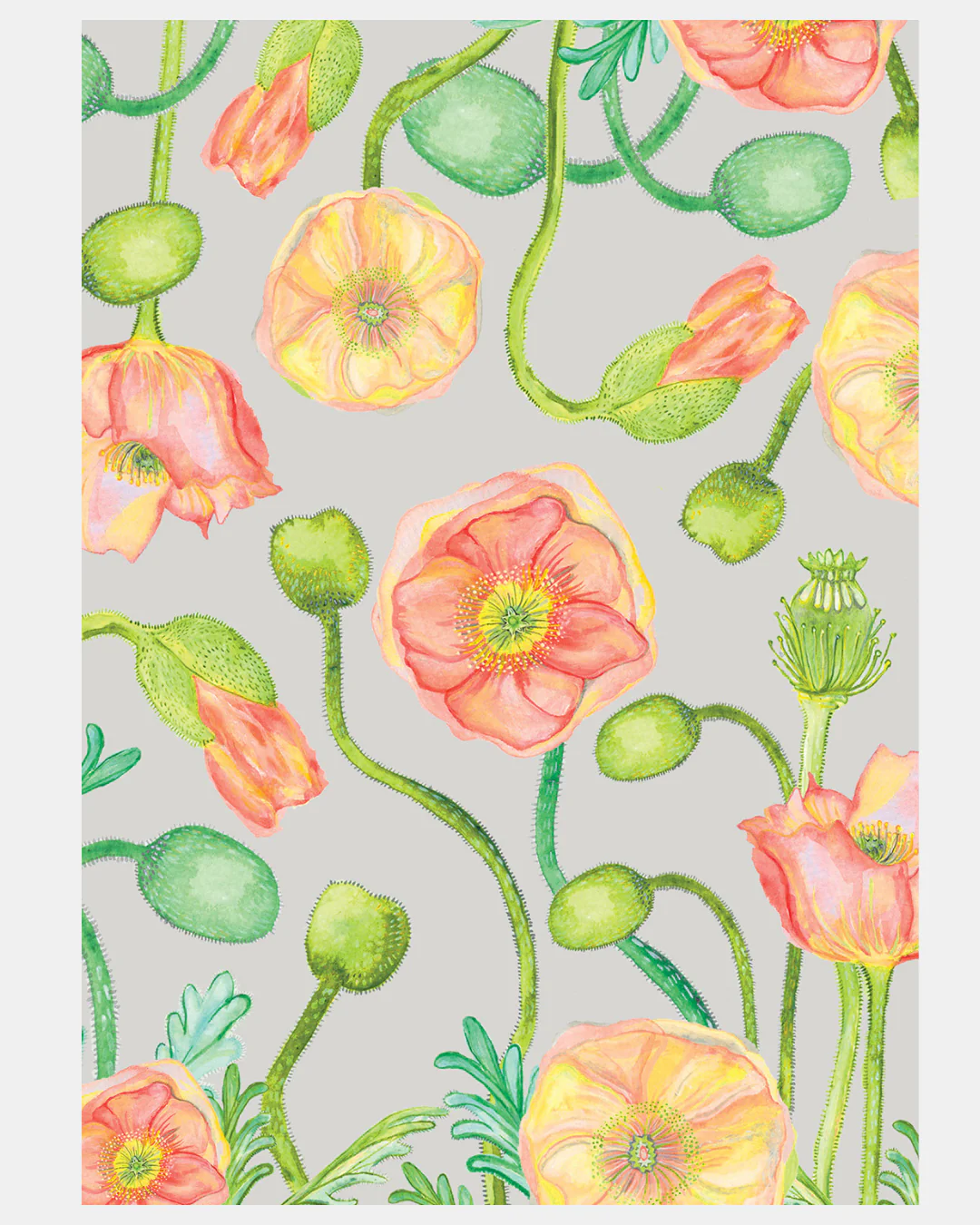 Angus & Celeste Card - Image 7