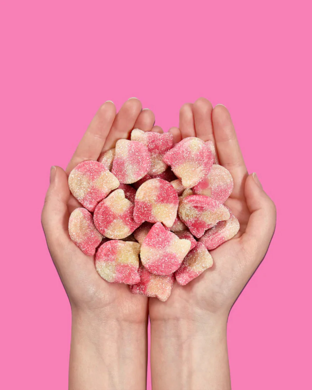 Candy Kittens / 54g - Image 3