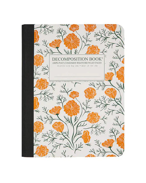 Decomposition Notebook - Image 6