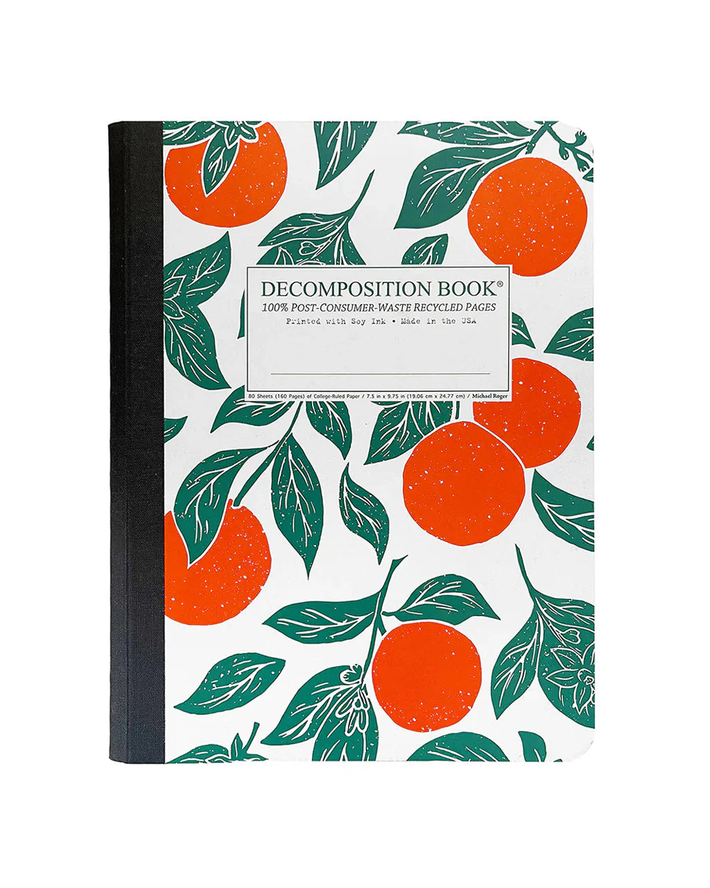 Decomposition Notebook - Image 8