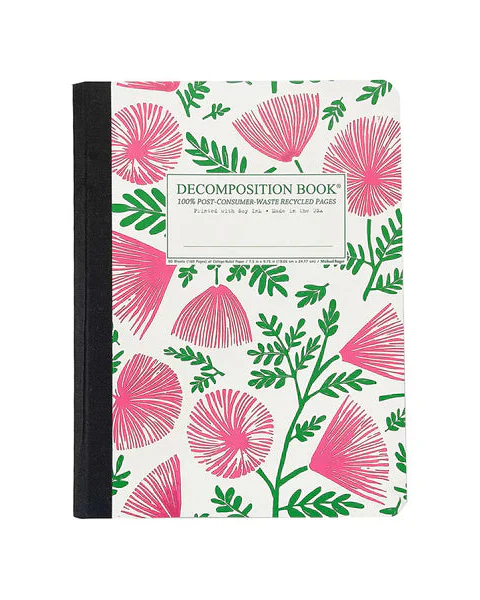 Decomposition Notebook - Image 9