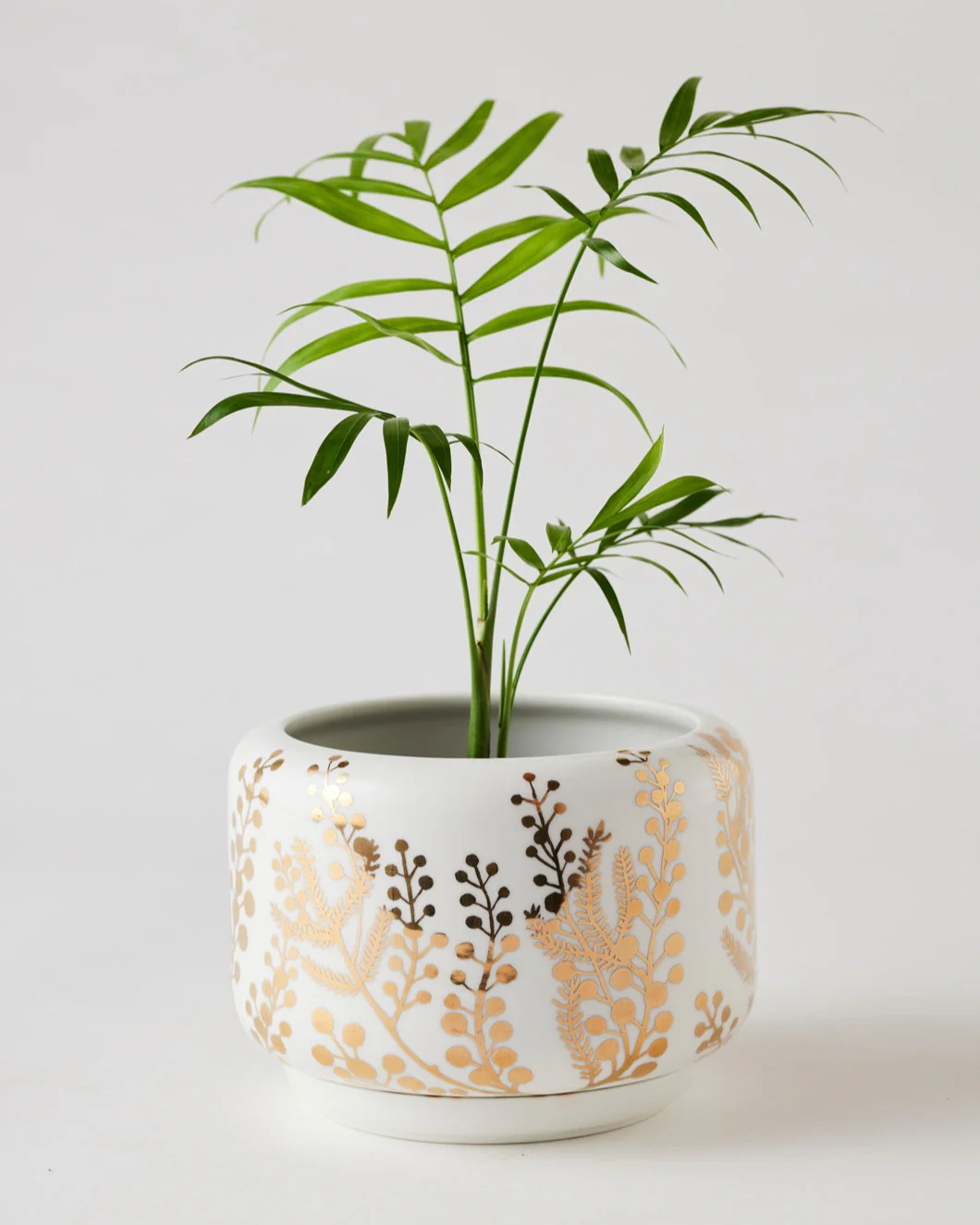 Angus & Celeste Decorative Succulent Pot - Image 11