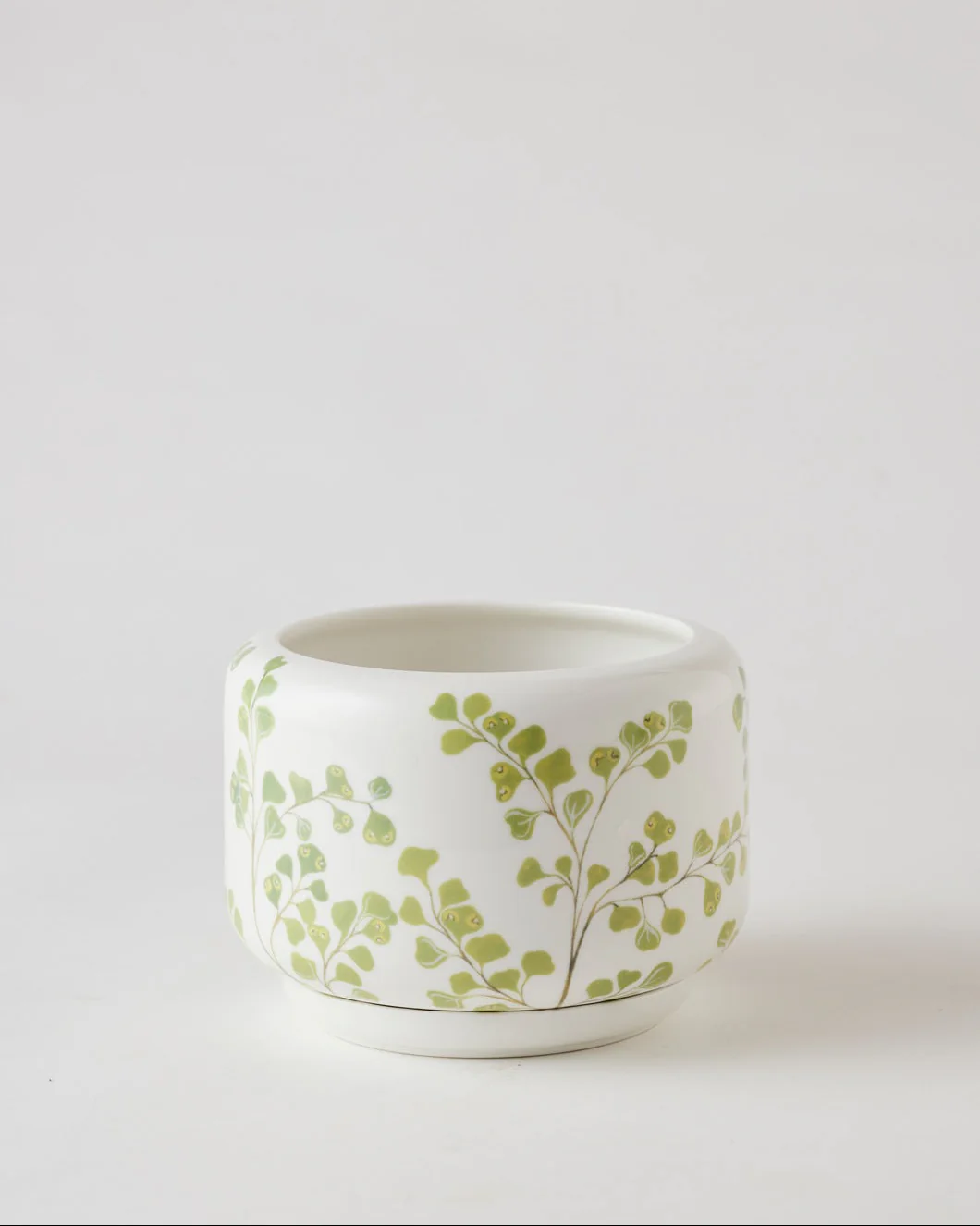 Angus & Celeste Decorative Succulent Pot - Image 13