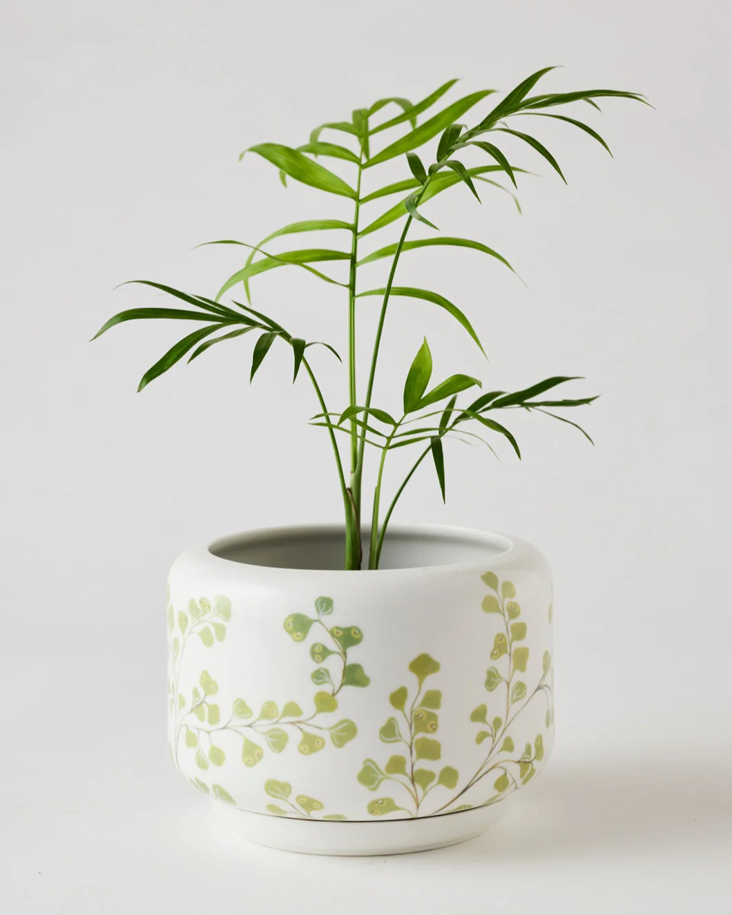 Angus & Celeste Decorative Succulent Pot - Image 15