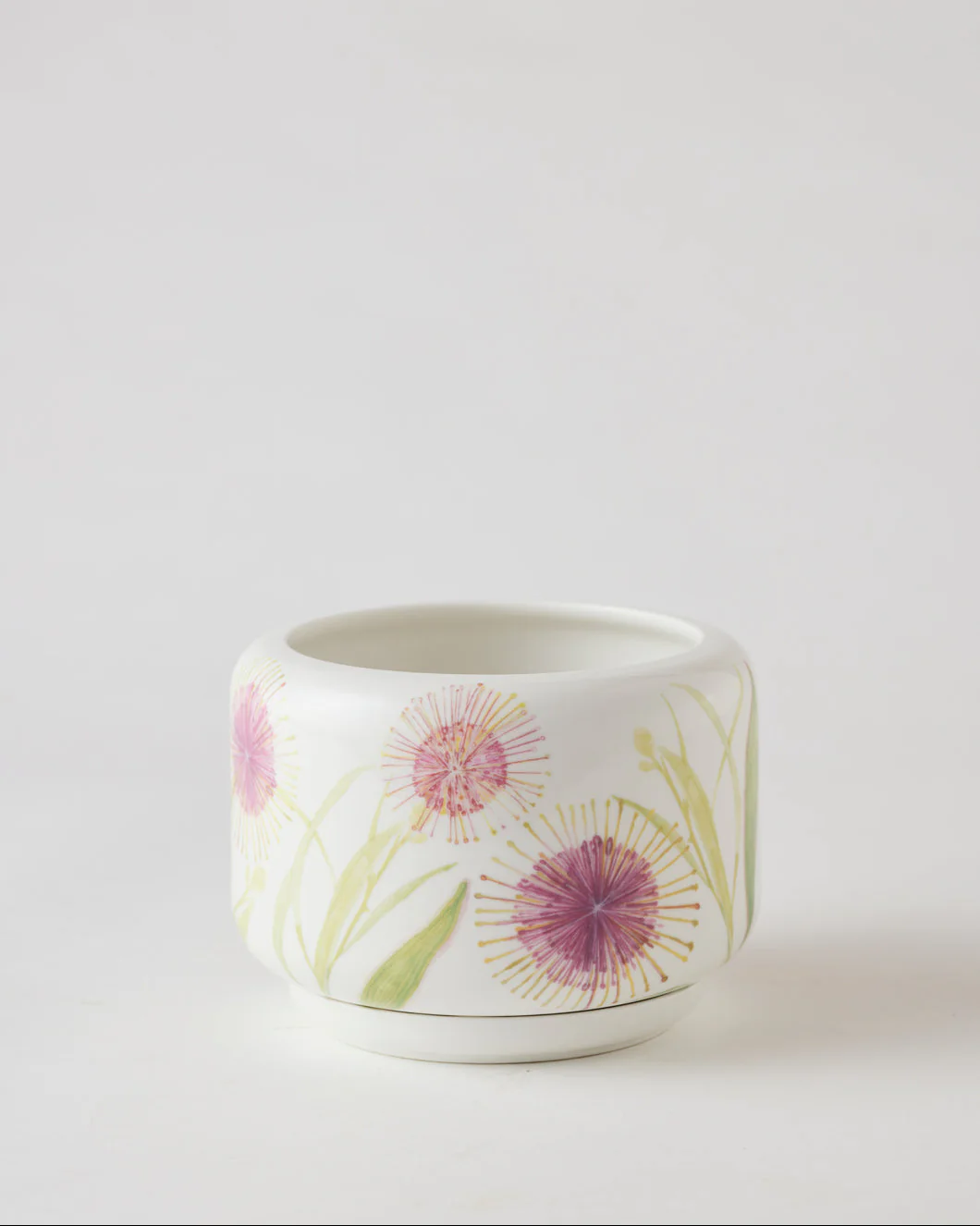 Angus & Celeste Decorative Succulent Pot - Image 17