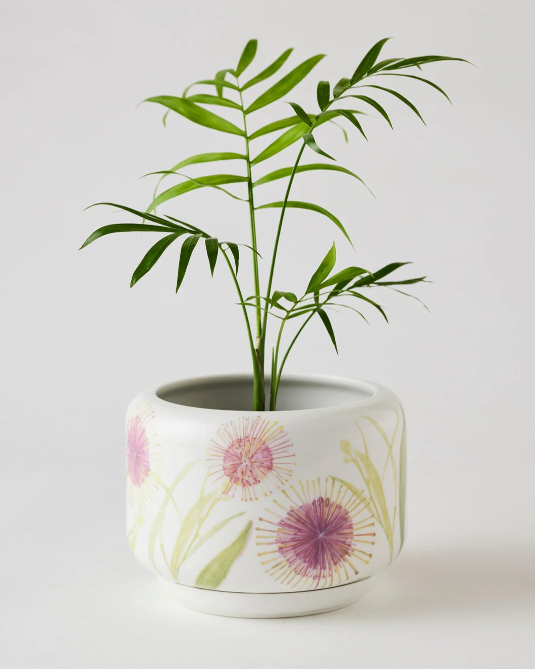 Angus & Celeste Decorative Succulent Pot - Image 19