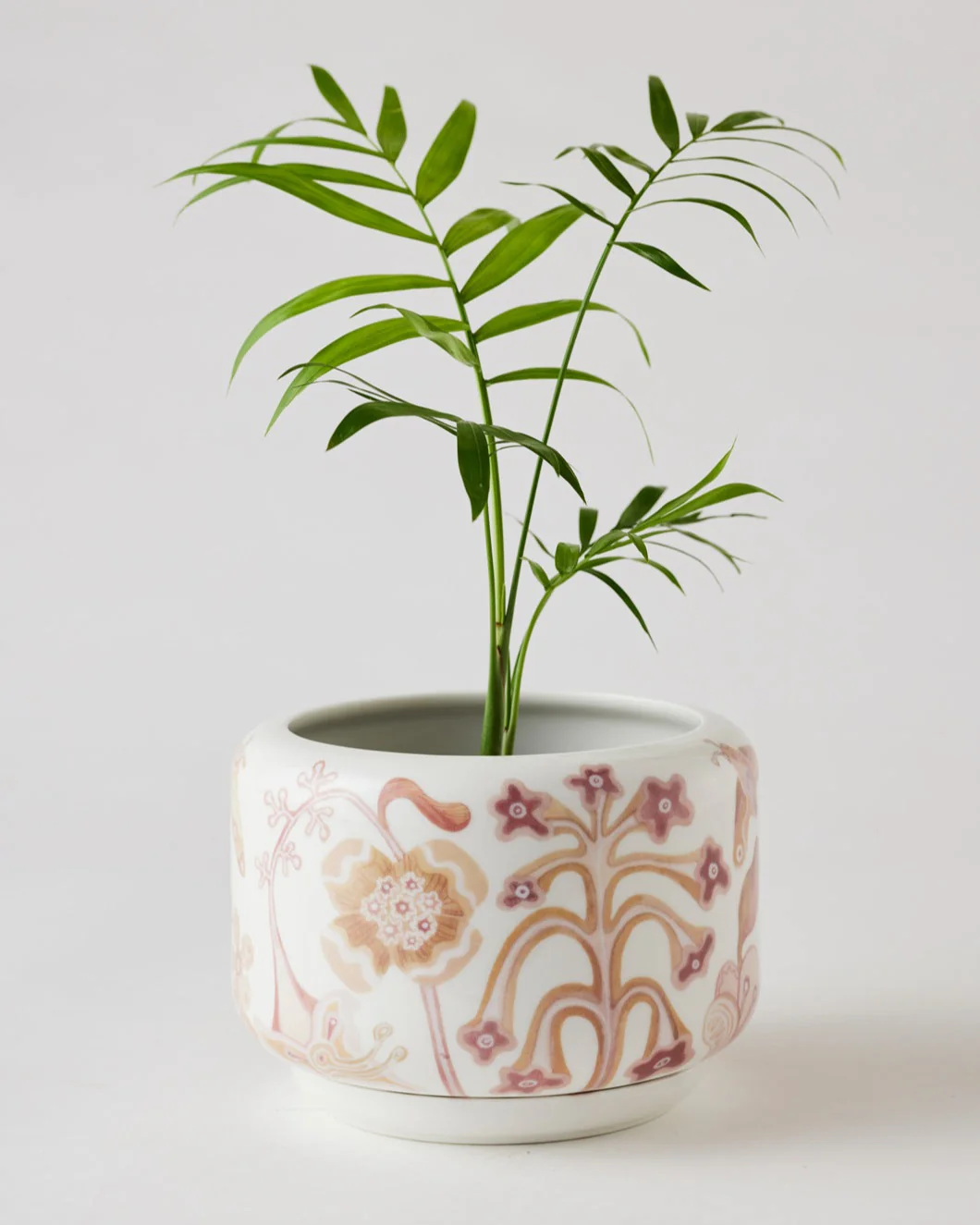 Angus & Celeste Decorative Succulent Pot - Image 3