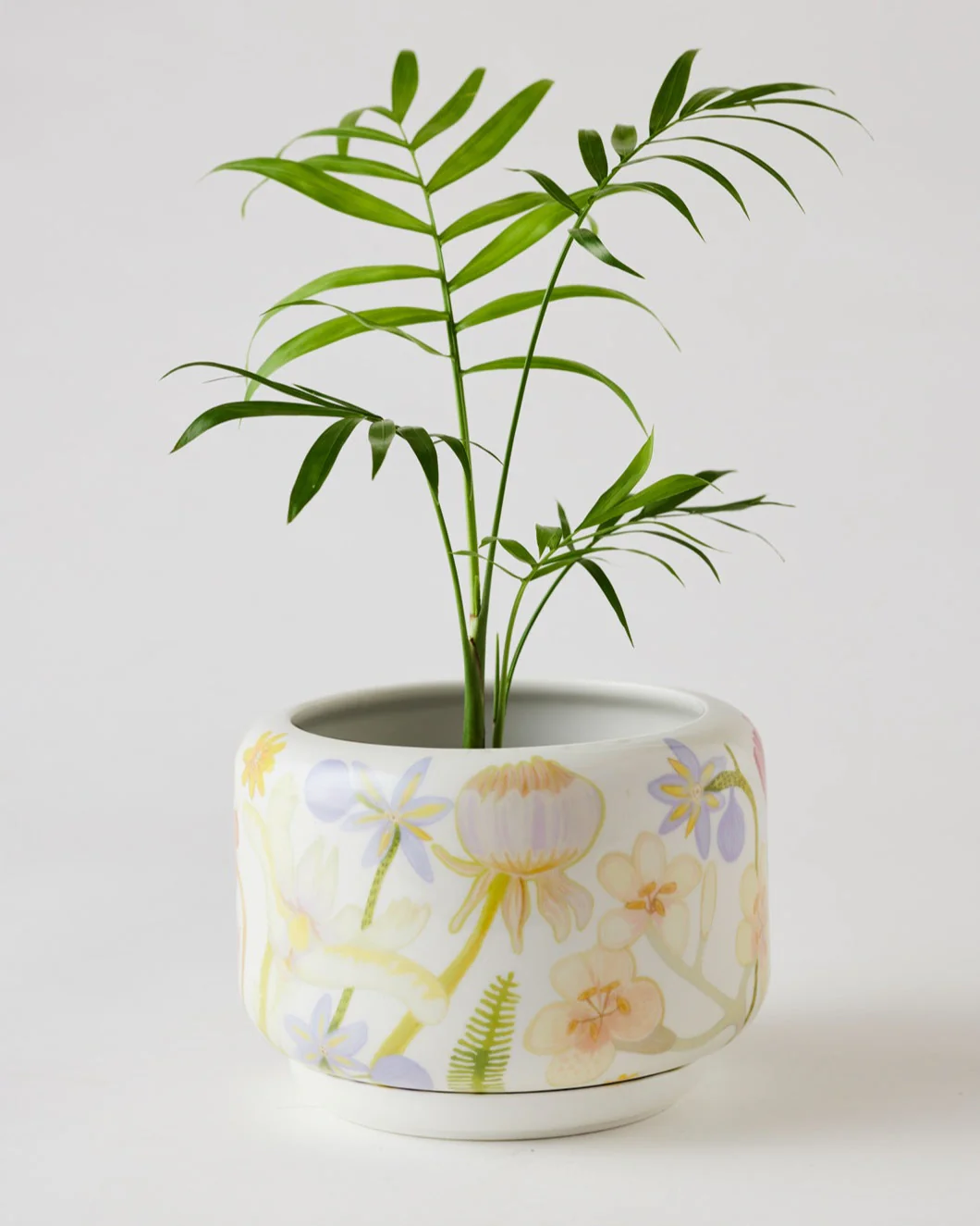 Angus & Celeste Decorative Succulent Pot - Image 8