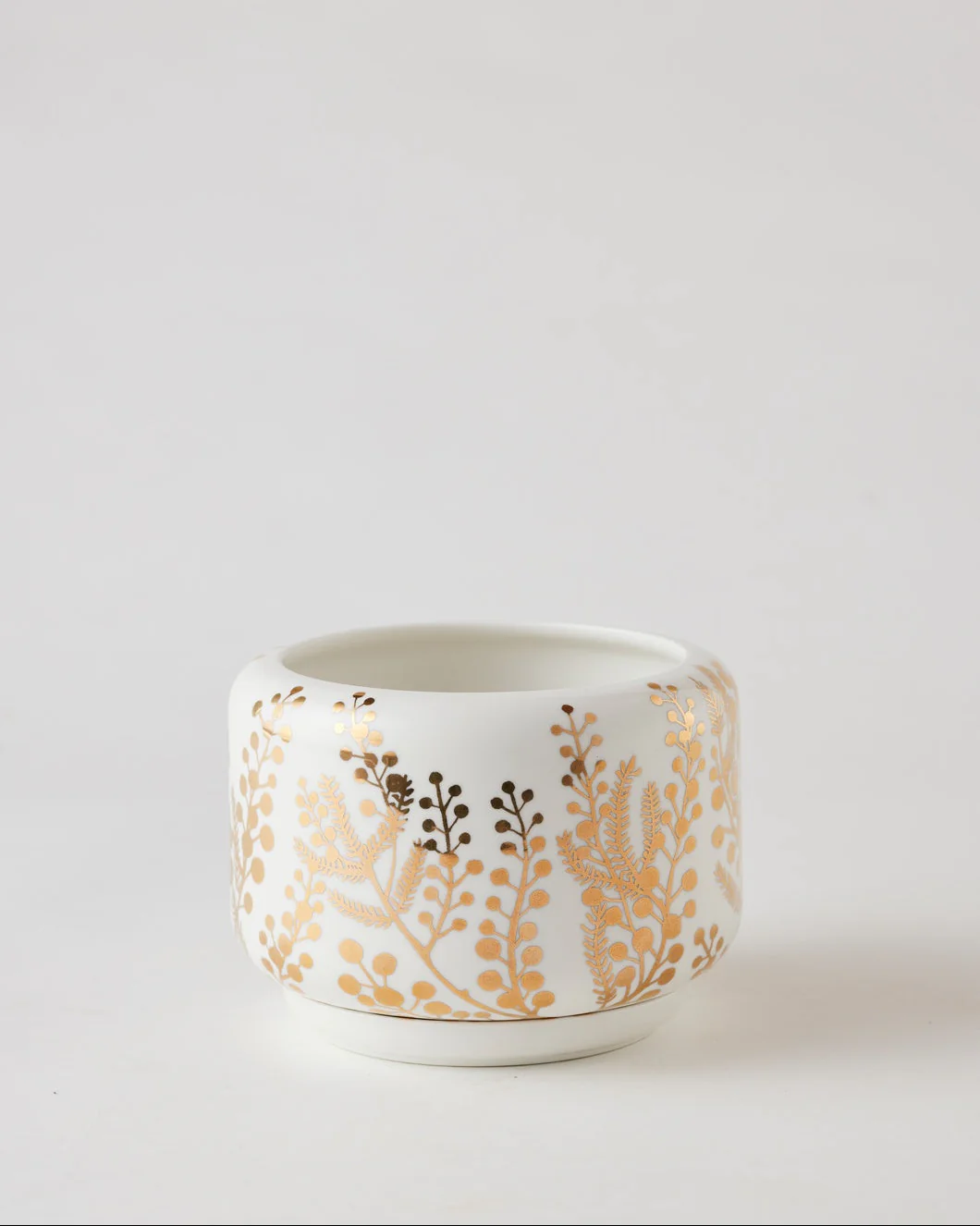 Angus & Celeste Decorative Succulent Pot - Image 9