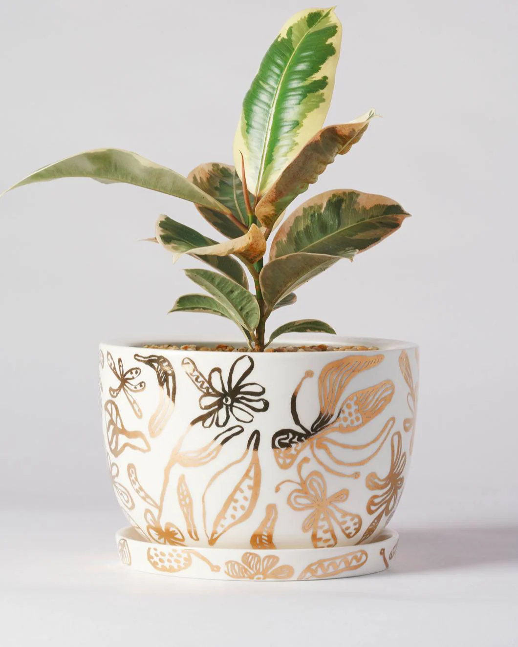 Angus & Celeste Decorative Plant Pot - Image 12