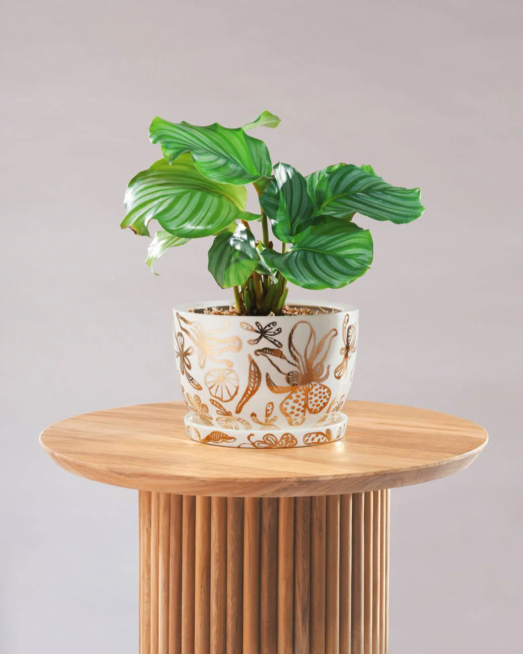 Angus & Celeste Decorative Plant Pot - Image 13