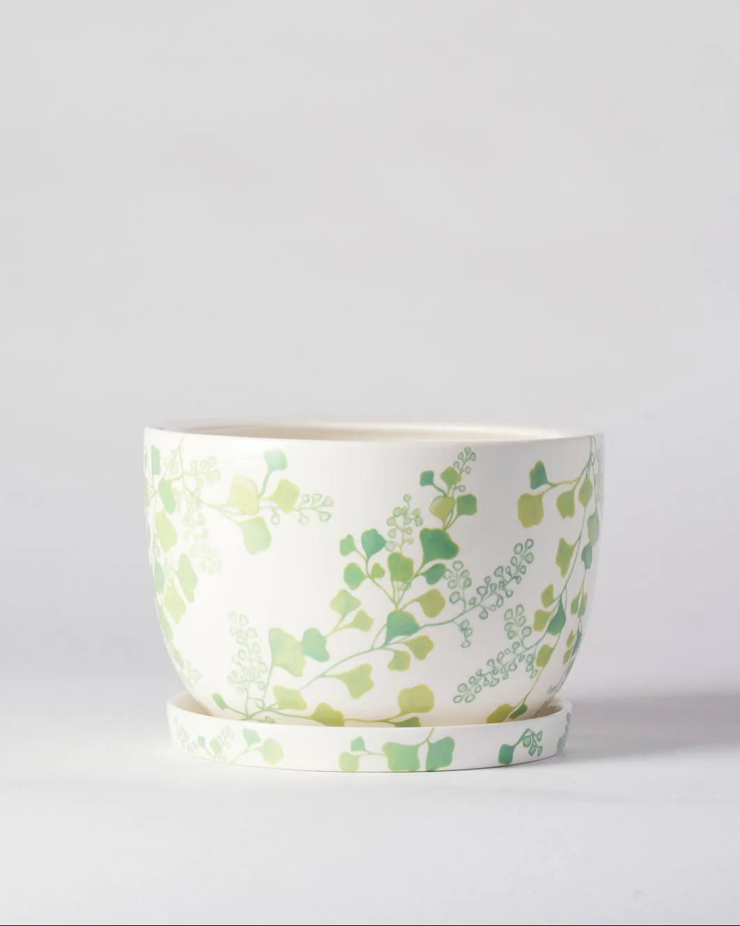 Angus & Celeste Decorative Plant Pot - Image 16