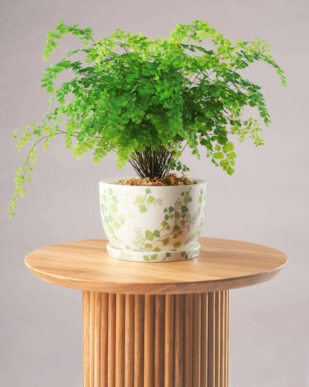 Angus & Celeste Decorative Plant Pot - Image 18