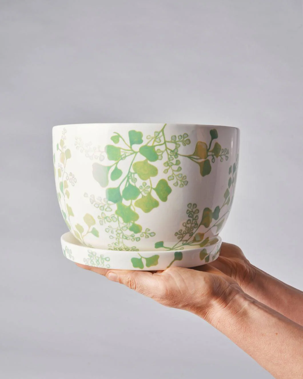 Angus & Celeste Decorative Plant Pot - Image 19