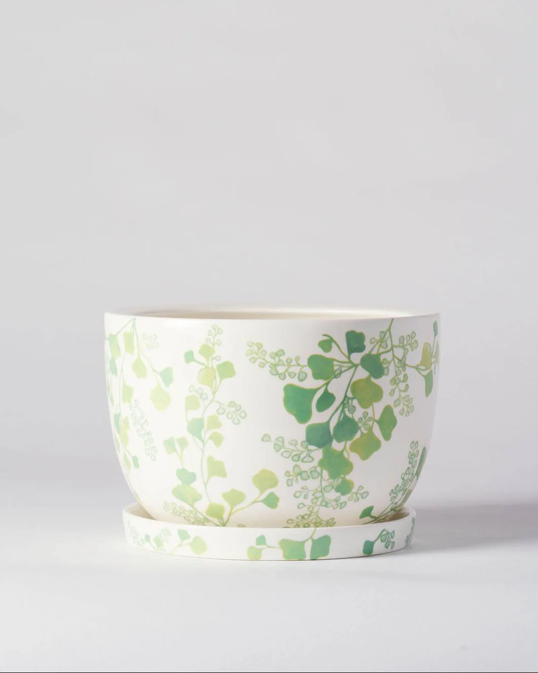Angus & Celeste Decorative Plant Pot - Image 20