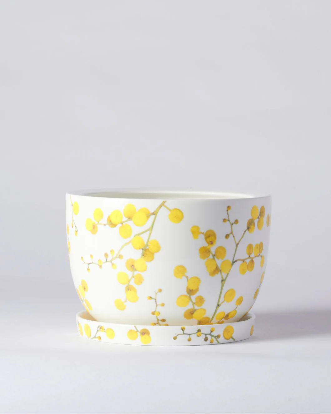 Angus & Celeste Decorative Plant Pot - Image 21