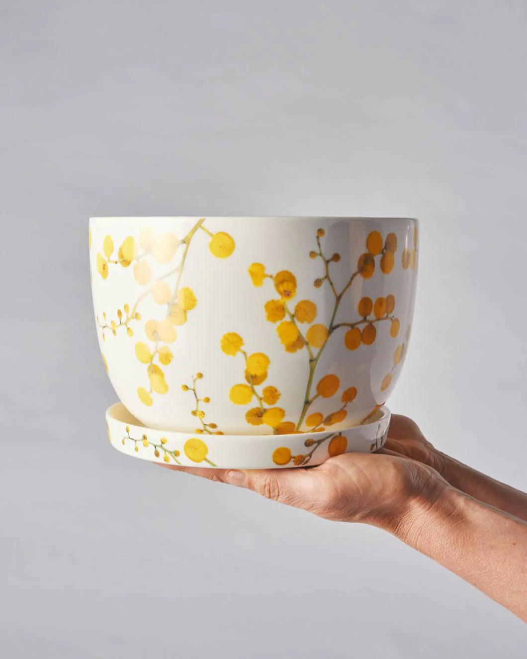 Angus & Celeste Decorative Plant Pot - Image 24