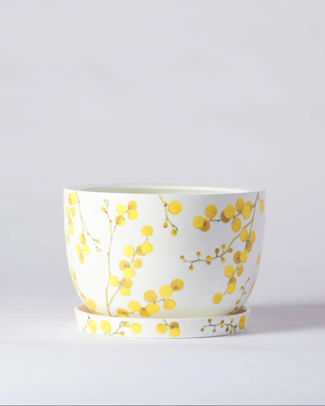 Angus & Celeste Decorative Plant Pot - Image 25