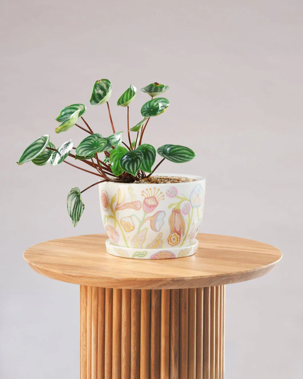 Angus & Celeste Decorative Plant Pot - Image 3