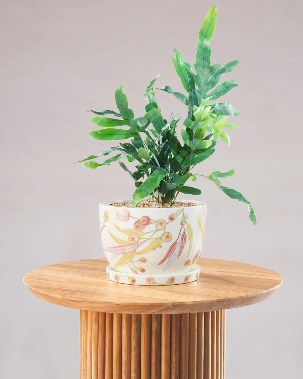 Angus & Celeste Decorative Plant Pot - Image 7