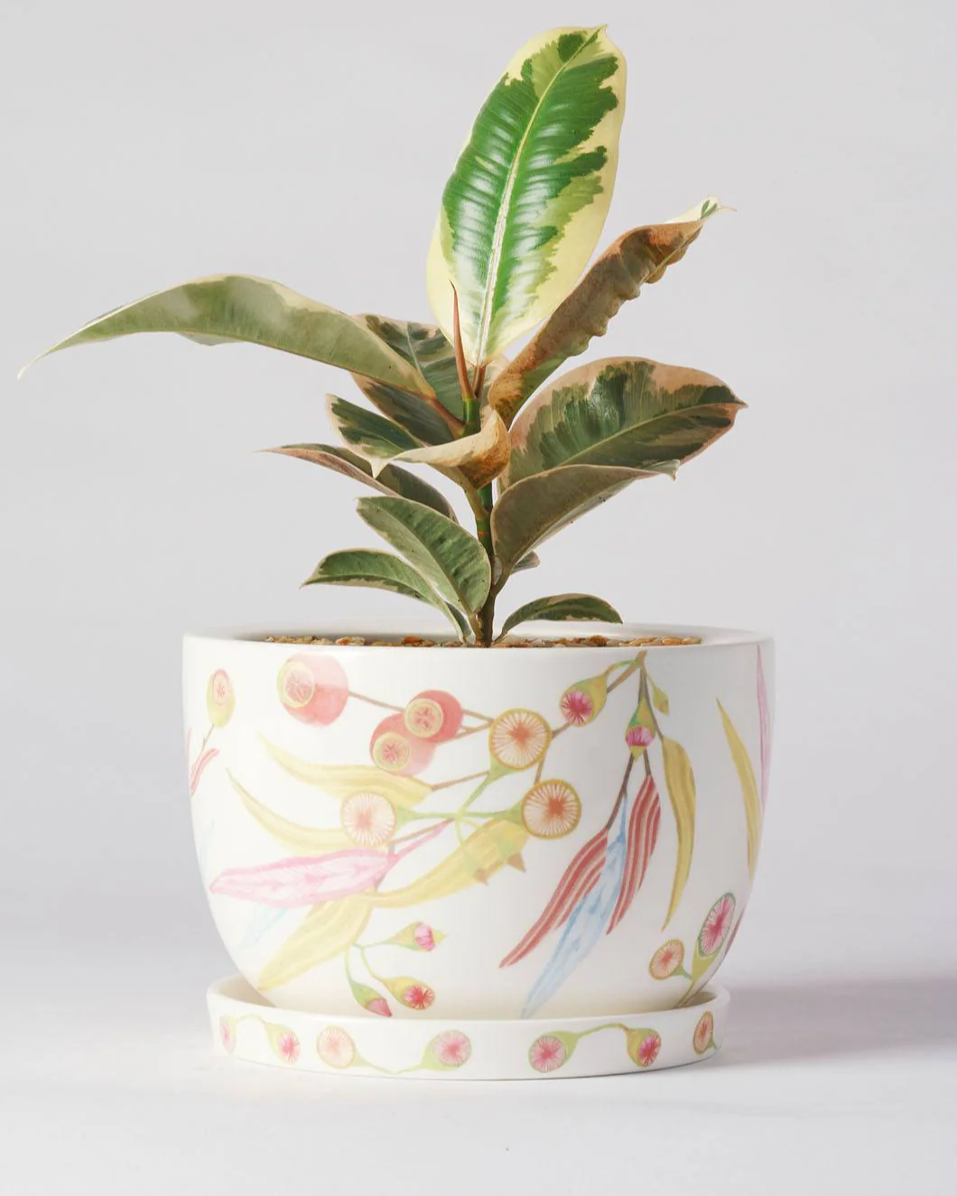 Angus & Celeste Decorative Plant Pot - Image 8