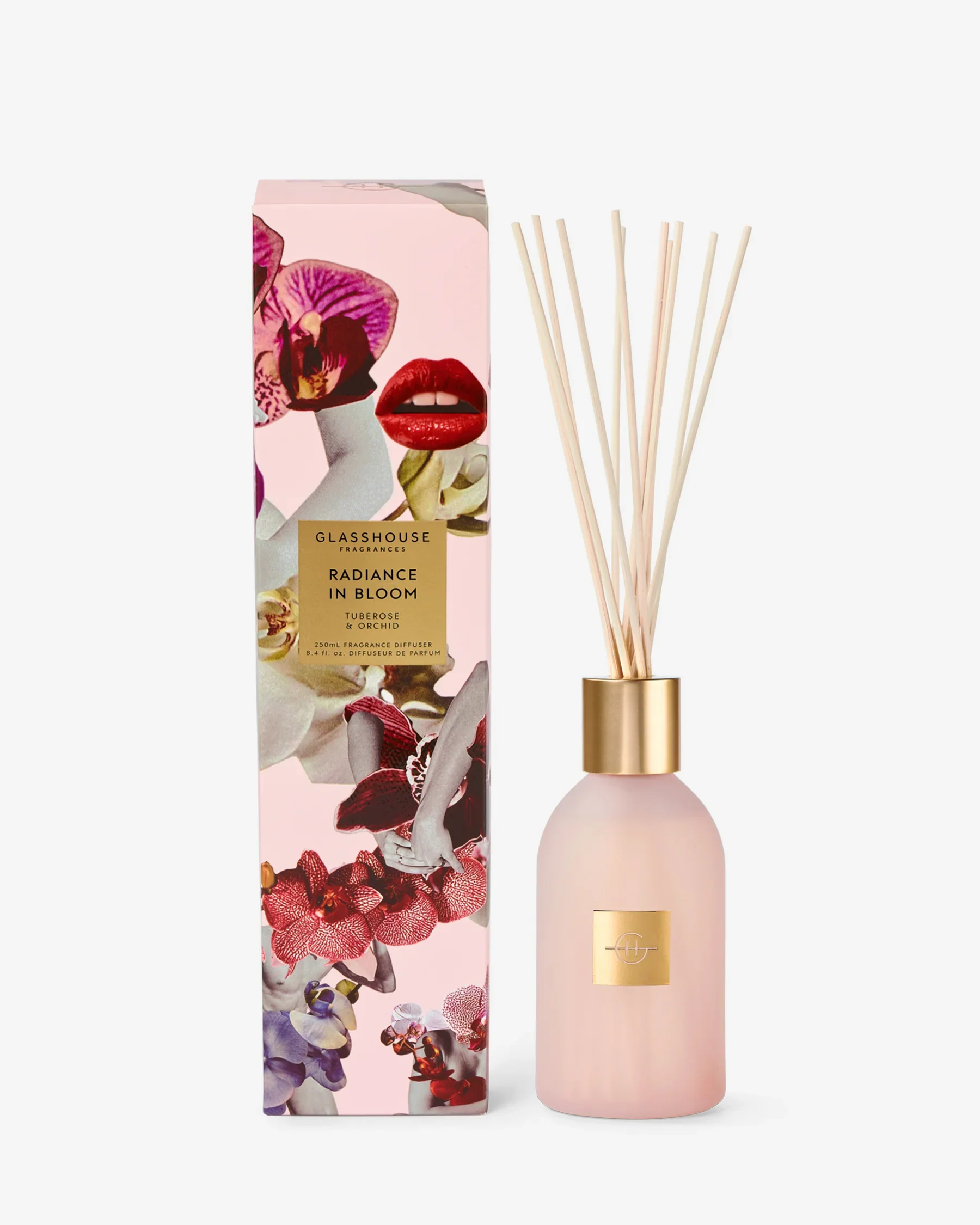 Glasshouse Diffuser / Limited Edition - Image 4