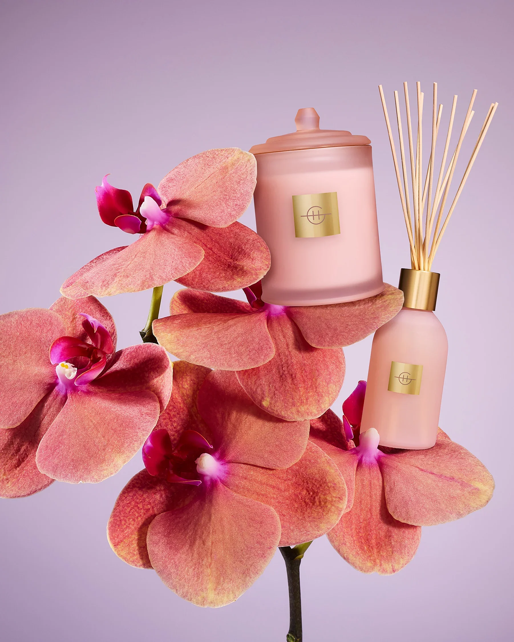 Glasshouse Diffuser / Limited Edition - Image 5