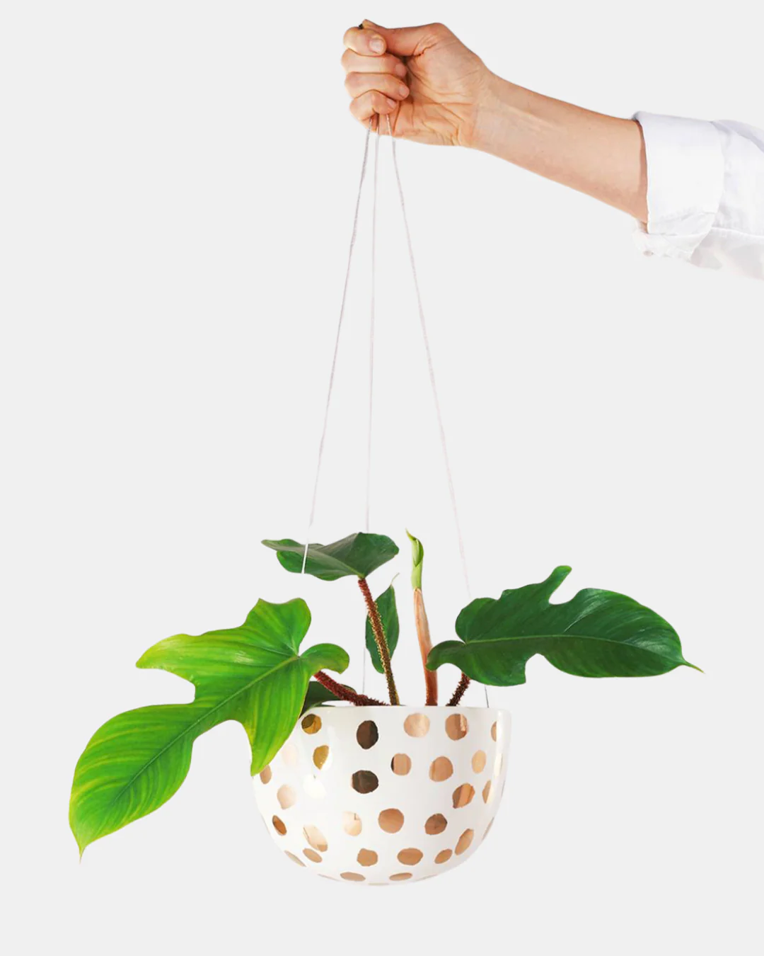 Angus & Celeste Decorative Hanging Planter - Image 11
