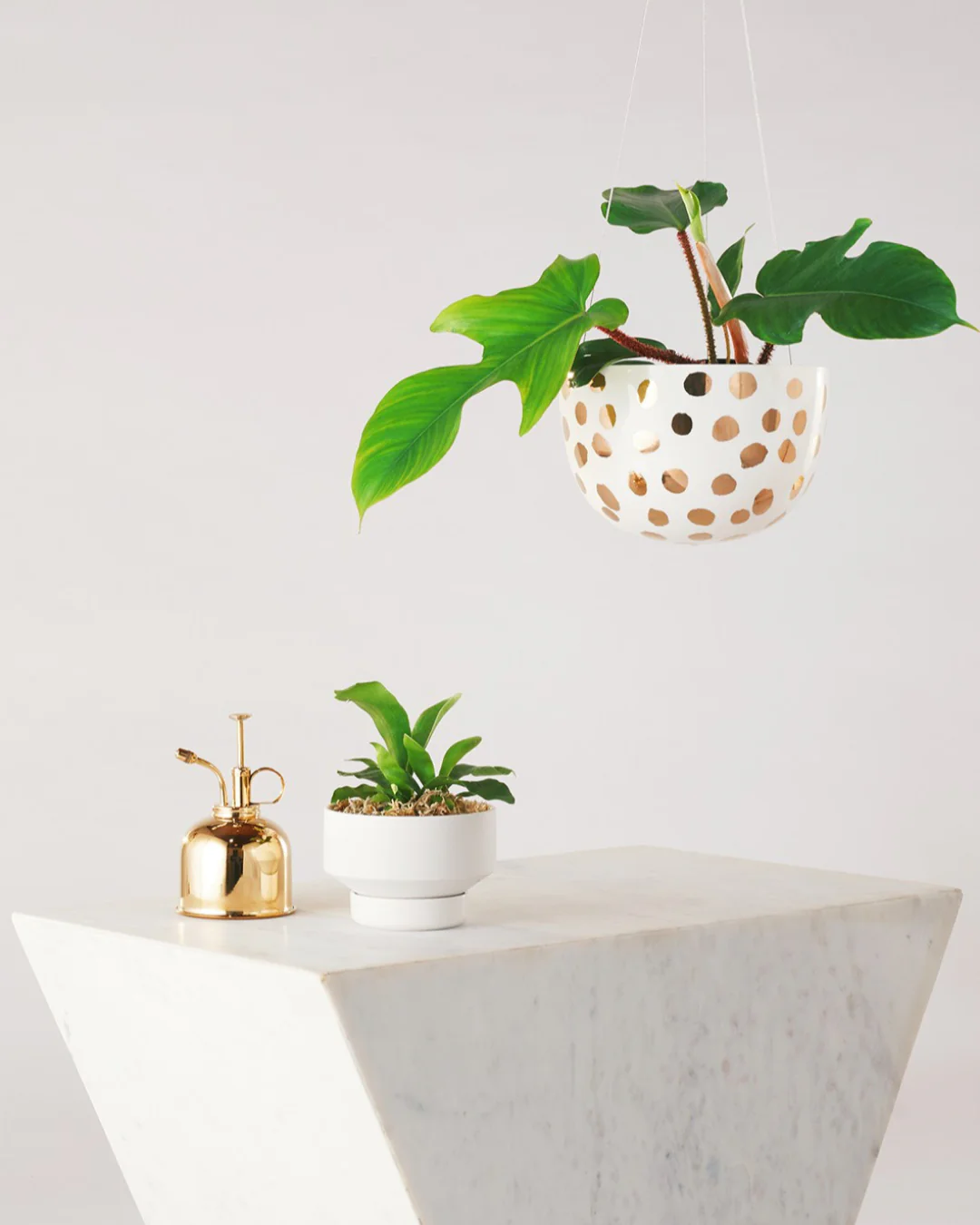 Angus & Celeste Decorative Hanging Planter - Image 12