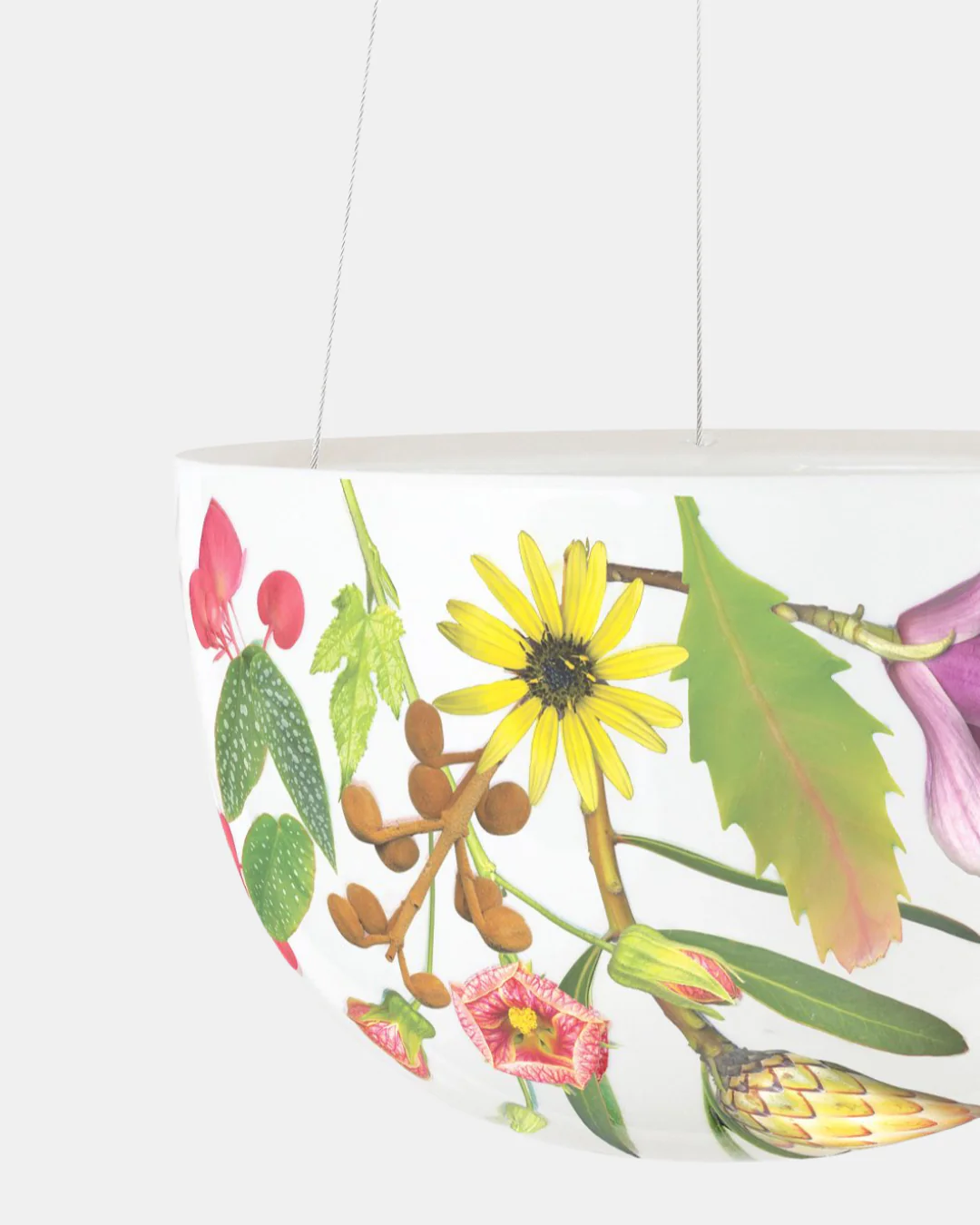 Angus & Celeste Decorative Hanging Planter - Image 21