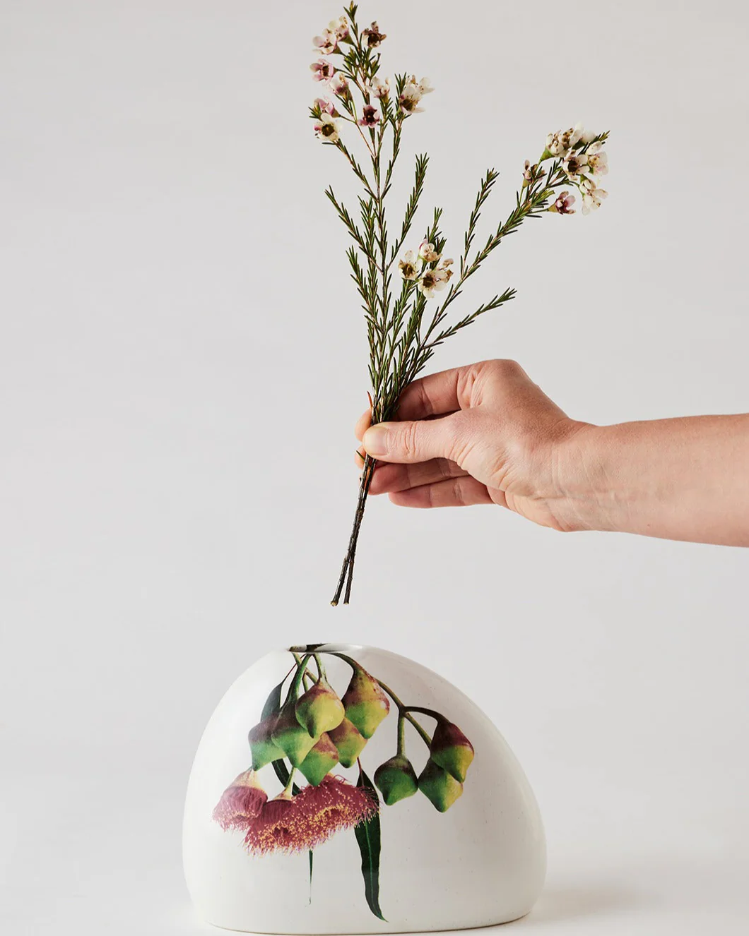 Angus & Celeste Macro Botanics Vase - Image 14