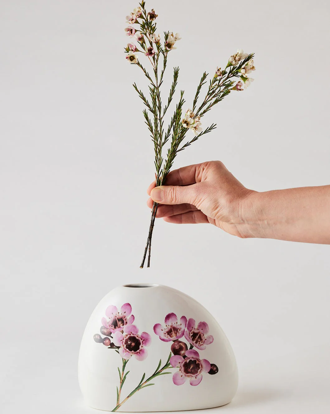 Angus & Celeste Macro Botanics Vase - Image 8