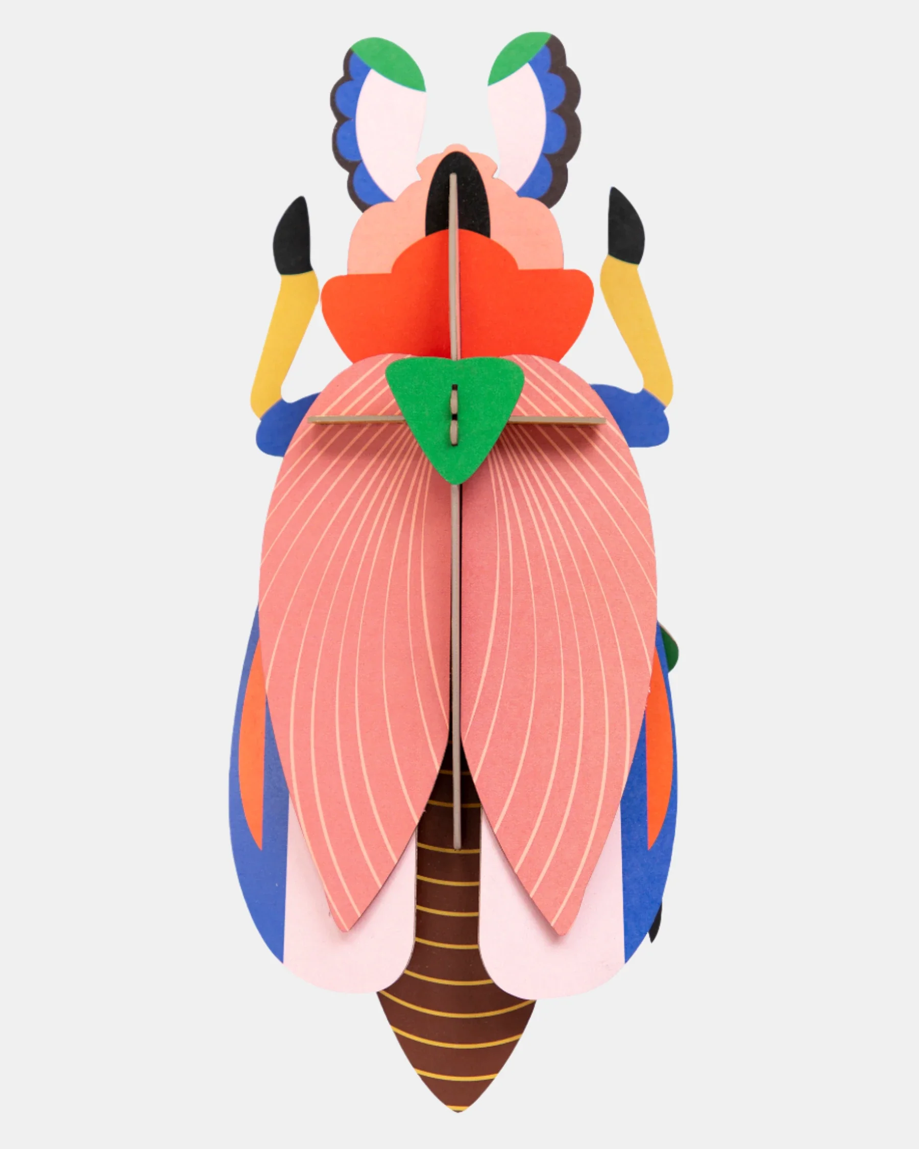 Studio Roof Wall Art A4 / Beetles - Image 14