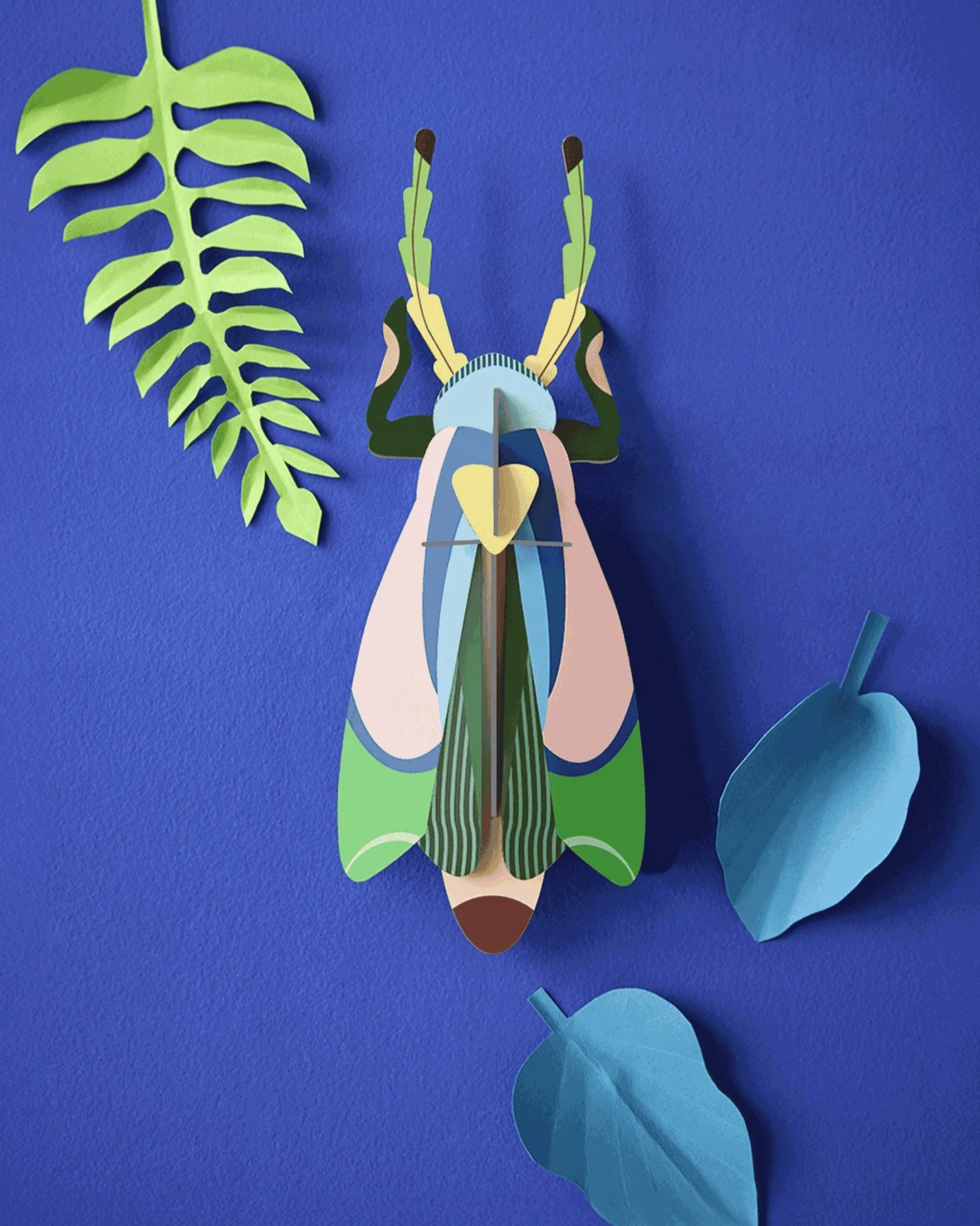 Studio Roof Wall Art A4 / Beetles - Image 3