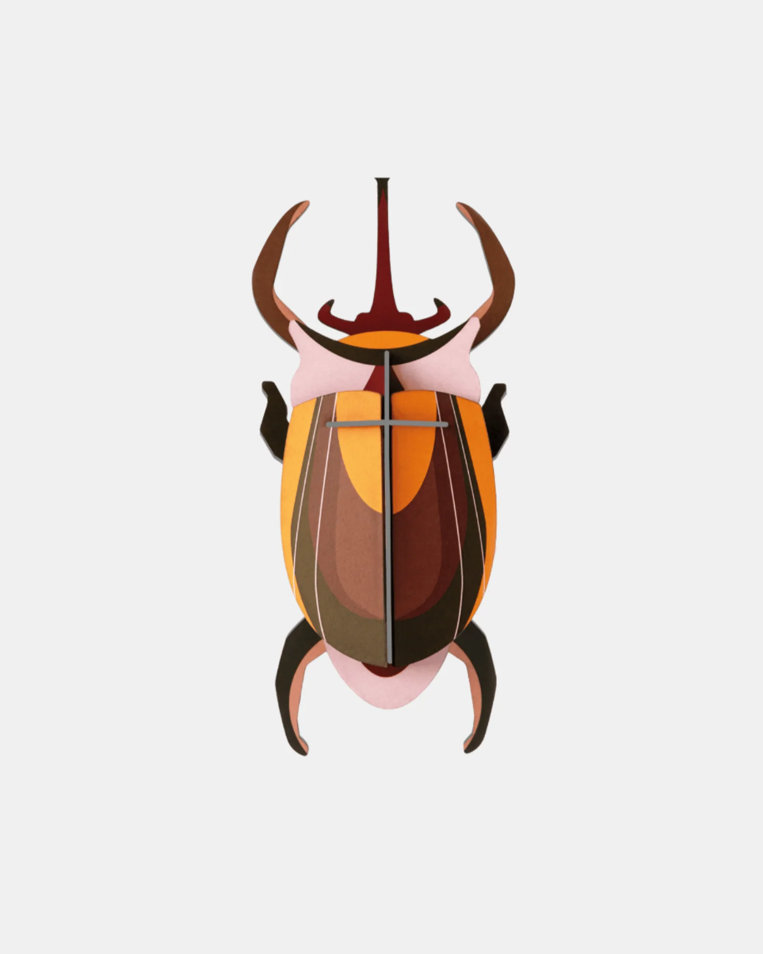 Studio Roof Wall Art B7 / Beetles - Image 26