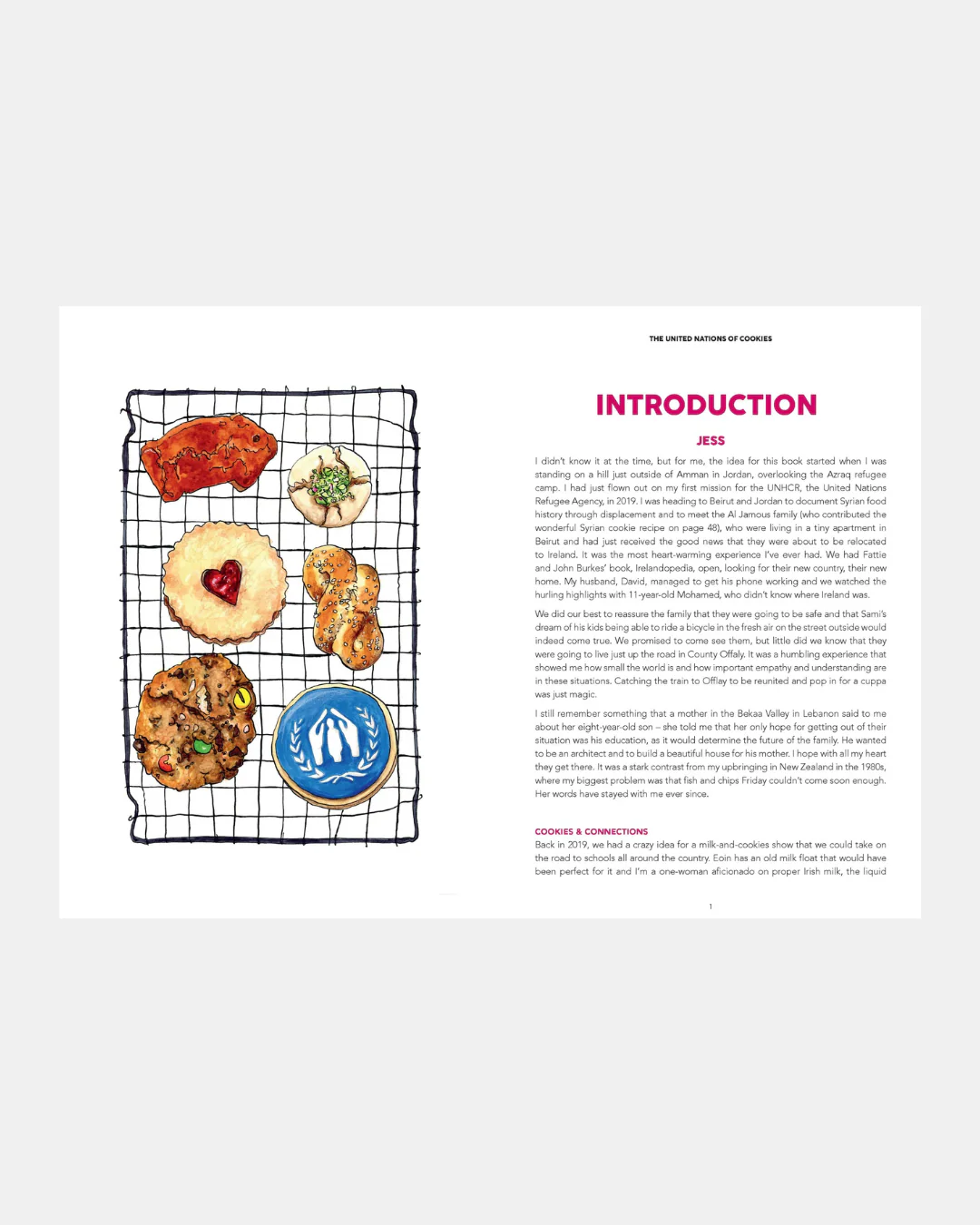 The United Nations Of Cookies Book - Image 3