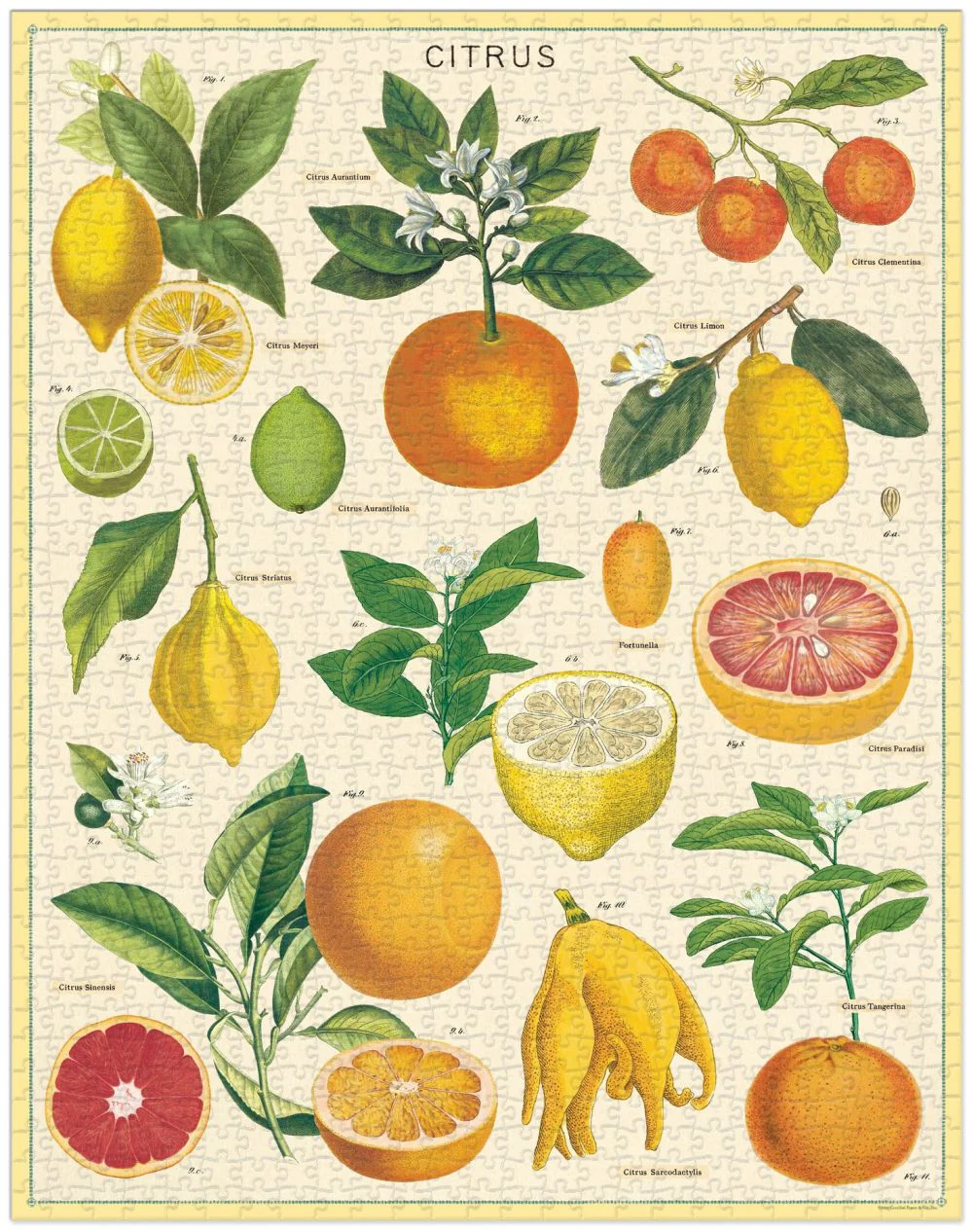 Vintage Puzzle / 1000 Piece - Image 11