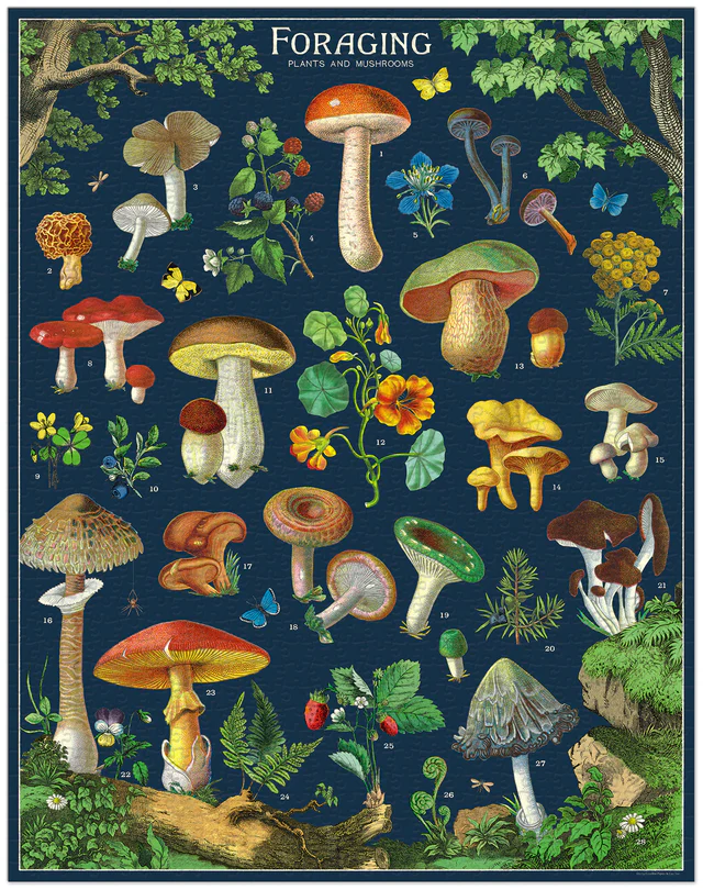 Vintage Puzzle / 1000 Piece - Image 17