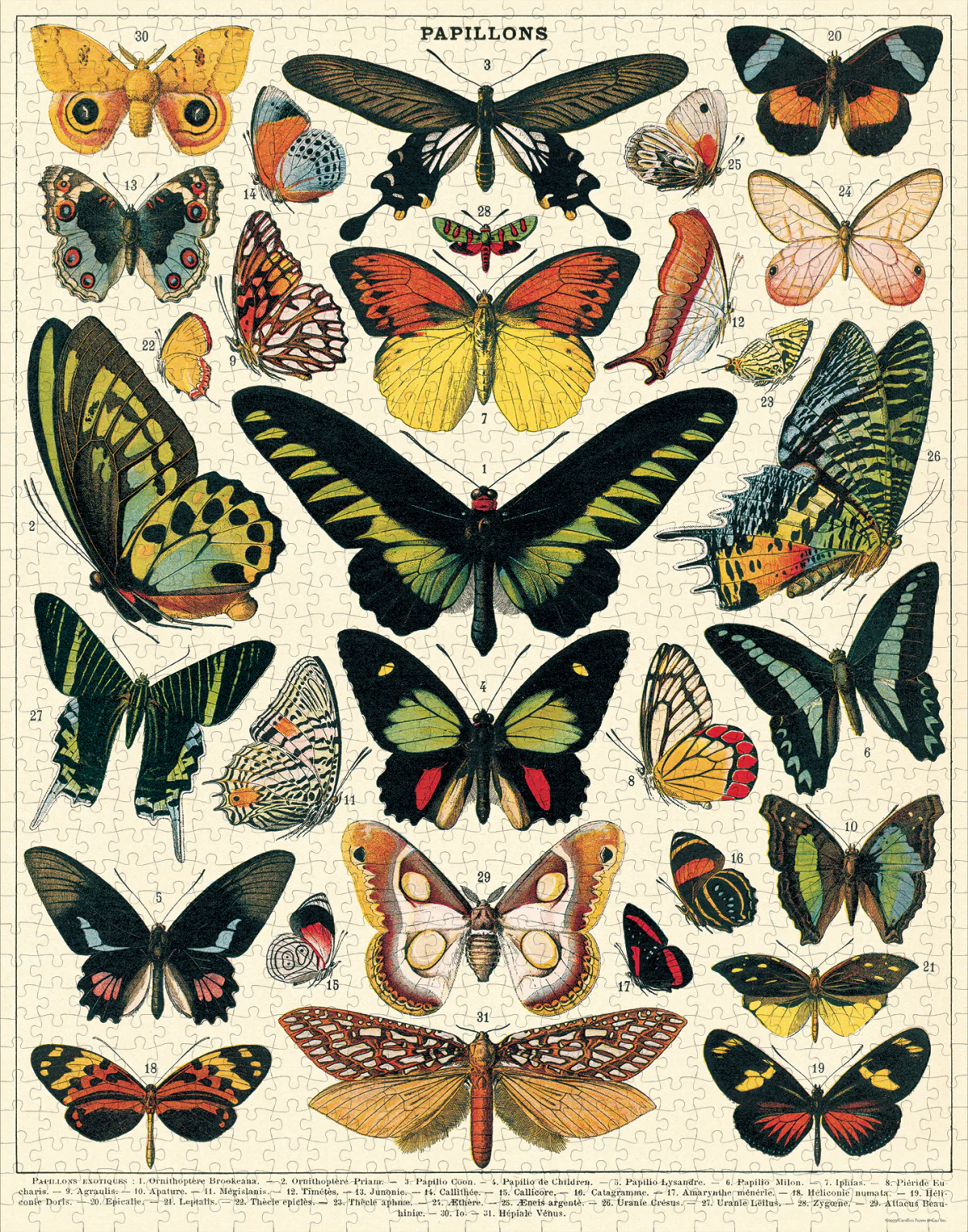 Vintage Puzzle / 1000 Piece - Image 8